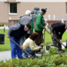 Virágosítás a városközpontban