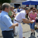 VII. Apró kezek, csodakertek Gyermek Kertépítő verseny