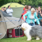 CAC kutyakiállítás (Fotó: Nagy Mária)