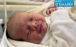 Fodor Klára, Mosonmagyaróvár