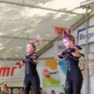 Szigetköz ízei, vármegye borai fesztivál / VÁRMEGYE SZÉPE - VÁRMEGYE HANGJA (Fotó: Horváth Attila)