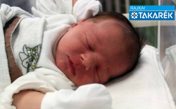 Bánhidi Gergő Baltazár, Mosonmagyaróvár