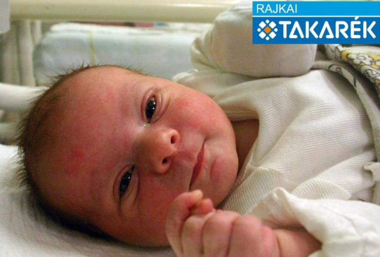 András Bence Tibor, Mosonmagyaróvár