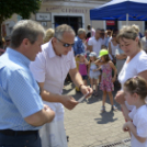 VII. Apró kezek, csodakertek Gyermek Kertépítő verseny