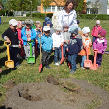 Faültetés a Föld Napja alkalmából