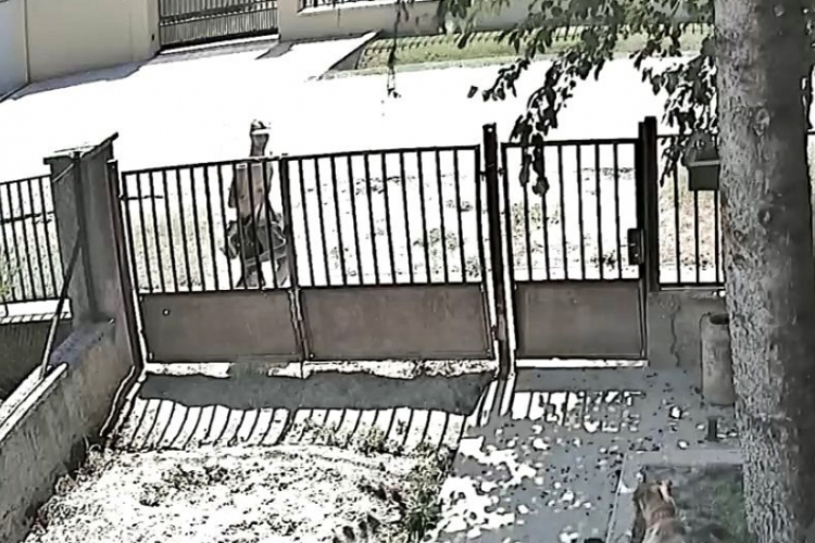 Táskát lopott, a rendőrség keresi!