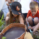 VII. Apró kezek, csodakertek Gyermek Kertépítő verseny