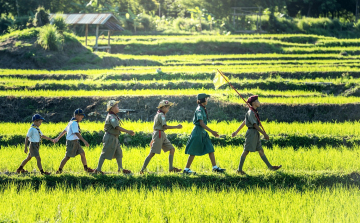 Pályázat nyári napközis táboroztatásra