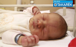 Brasch Betta, Mosonmagyaróvár