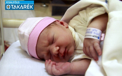 Tóth Rozina, Mosonmagyaróvár