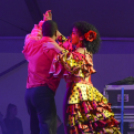 XI. Szigetköz ízei, Vármegye borai Fesztivál 2. nap Színpad