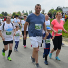 XIV. Greiner Szigetköz Félmaraton
