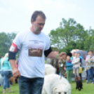 CAC kutyakiállítás (Fotó: Nagy Mária)