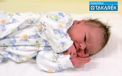 Tóth Levente Tamás, Mosonmagyaróvár