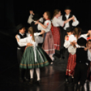 Nyárcsalogató (Fotó: Nagy Mária)