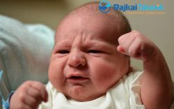 Maász Balázs, Hegyeshalom