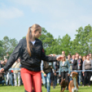 CAC kutyakiállítás (Fotó: Nagy Mária)