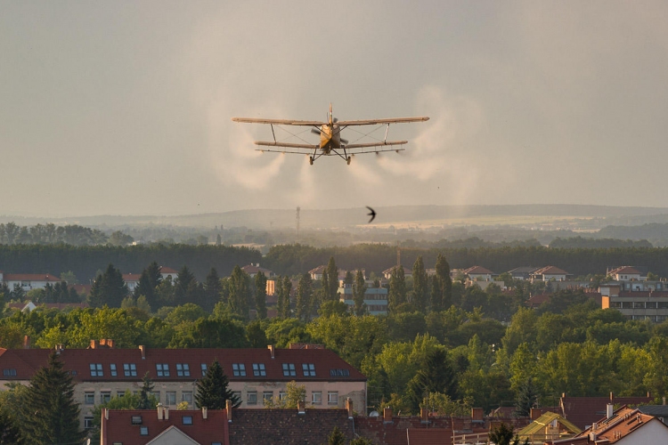 A héten ismét légi kémiai védekezés várható a szúnyogok ellen 