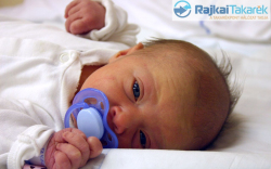 Szédelyi-Takács Jázmin, Mosonmagyaróvár