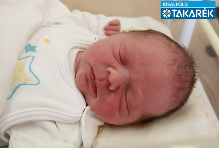 Erdős Zétény Hunor, Dunakiliti