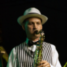 Szigetköz ízei, Vármegye borai Fesztivál - 1 nap