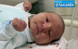 Bárdi Kristóf, Halászi