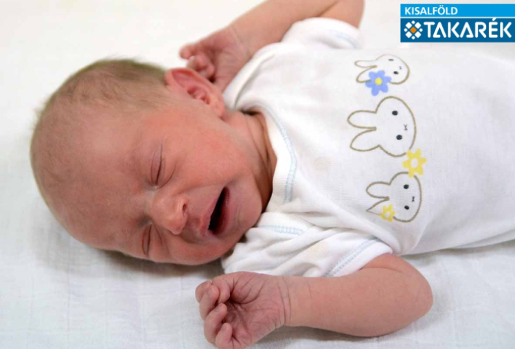 Farkas Mirella, Mosonmagyaróvár