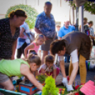 Apró kezek, Csodakertek - IX. Gyermek Kertépítő Verseny