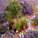 Apró Kezek, Csodakertek