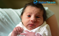 Egri Szófia, Dunasziget