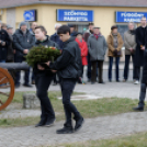 2015. MÁRCIUS 15. Mosonmagyaróvár (Fotó: Horváth Attila)