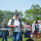 CAC kutyakiállítás (Fotó: Nagy Mária)