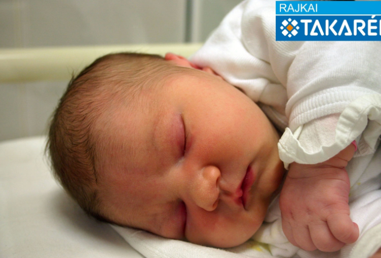 Szűcs Flóra Róza, Vitnyéd