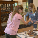 Régészet napja és gyermeknap a Hansági múzeumban 