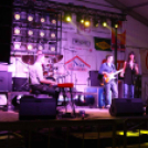  Szigetköz ízei, Vármegye borai Fesztivál 2. nap (Fotó: Stipkovits Veronika, Bánhegyi István)