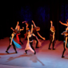 Jótékonysági műsor - Fehér és Máltai Szeretetszolgálat az Éltes iskola javára (Fotó: Horváth Attila)