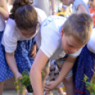 VII. Apró kezek, csodakertek Gyermek Kertépítő verseny