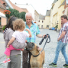 KULT - UTCA Kéz-műves kéz-művek délutánja (Fotó: Nagy Mária)