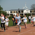 XV. Greiner Szigetköz Félmaraton