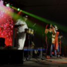 XII. Szigetköz ízei, Vármegye borai Fesztivál 2. nap