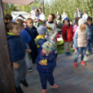 Pillangó Óvoda és Mini Bölcsőde családi nap az Alma együttessel 