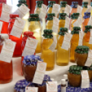 X. Jánossomorjai Tökfesztivál (Fotó: Horváth Attila)