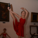 Kultúra napja a Cselley házban (Fotó: Nagy Mária)