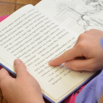 Könytári Flash Mob (Fotó: Nagy Mária)