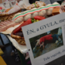 Kolbásztöltő fesztivál (Fotó: Nagy Mária)