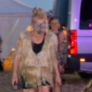 Voluta 1 nap (Fotó: Stipkovits Veronika és Bánhegyi István)