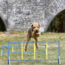 XI. Szigetköz ízei, Vármegye borai Fesztivál 3. nap 