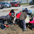 Faültetés óvodásokkal (Fotó: Nagy Mária)
