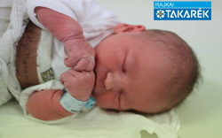 Mihályi Marcell Benett, Mosonmagyaróvár