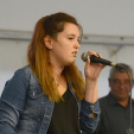 XI. Szigetköz ízei, Vármegye borai Fesztivál 3. nap